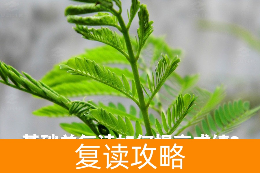 基础差复读如何提高成绩?这几招帮你快速提升!